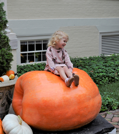 Girl sitting on huge pumpkin