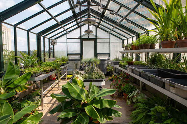 Slider-Grounds-greenhouse1.jpg